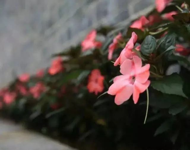 烧香攻略